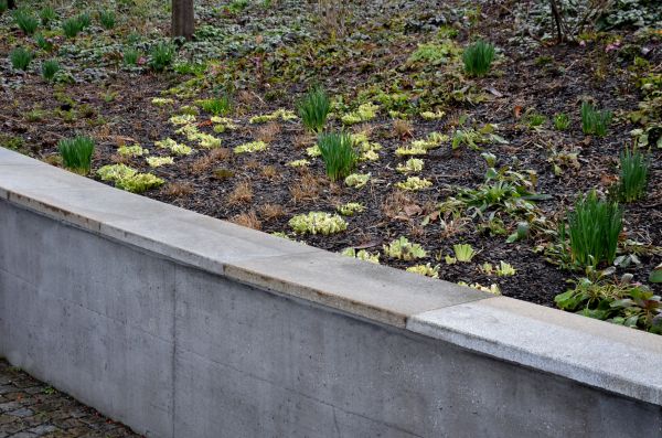 Cost of Concrete Wall Construction in Livermore