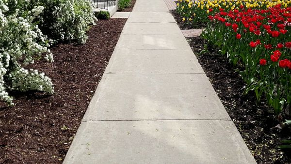 Cost of Cement Sidewalk Installation in Livermore