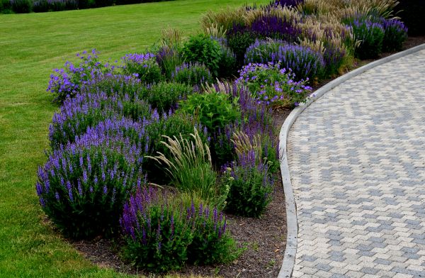 Cost of Sidewalk Curb Installation in Livermore